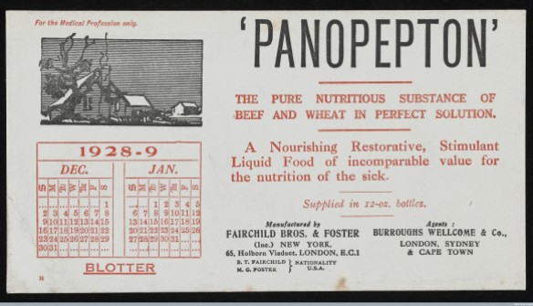 Calendar blotter for December 1928 and January 1929 issued by Fairchild Brothers and Foster and their UK agents, Burroughs, Wellcome and Co. advertising 'Panopepton' beef extract, "the pure nutritious substance of beef and wheat in perfect solution". This would have been one of a series of blotters sent out to members of the medical profession every 2 months. Courtesy of Wellcome Library, London. 