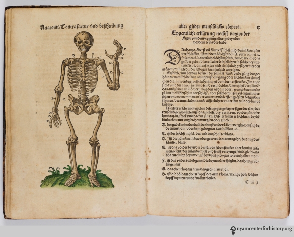 Modified Vesalian skeleton in Ryff's Des aller furtrefflichsten, hoechsten und adelichsten Gschoepffs aller Creaturen (1541)