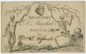 Andrew Marshal anatomy course