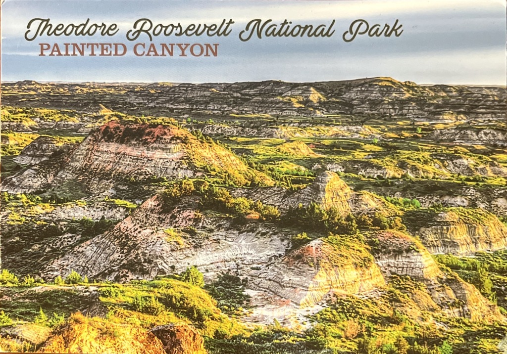 A scan of a postcard from Theodore Roosevelt National Park. This shows the Painted Canyon. The canyon appears very yellow. 