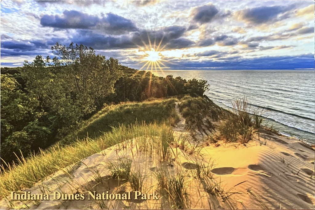 A scan of a postcard from Indiana Dunes National Park. It is the shoreline of Lake Michigan. The sun is setting right in the middle. 